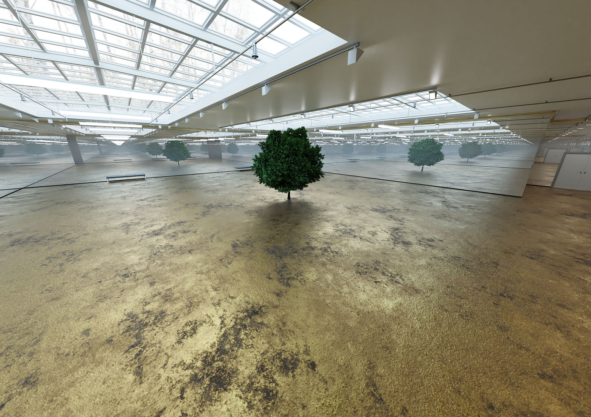 Paradise - The infinite forest - 2023 - Unsculpted project
Variable size. Tree, golden floor, mirrored wall.