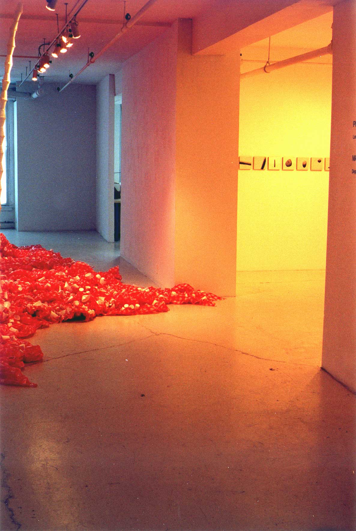 05 Pierre Clemens Galerie B312 Montreal 2000