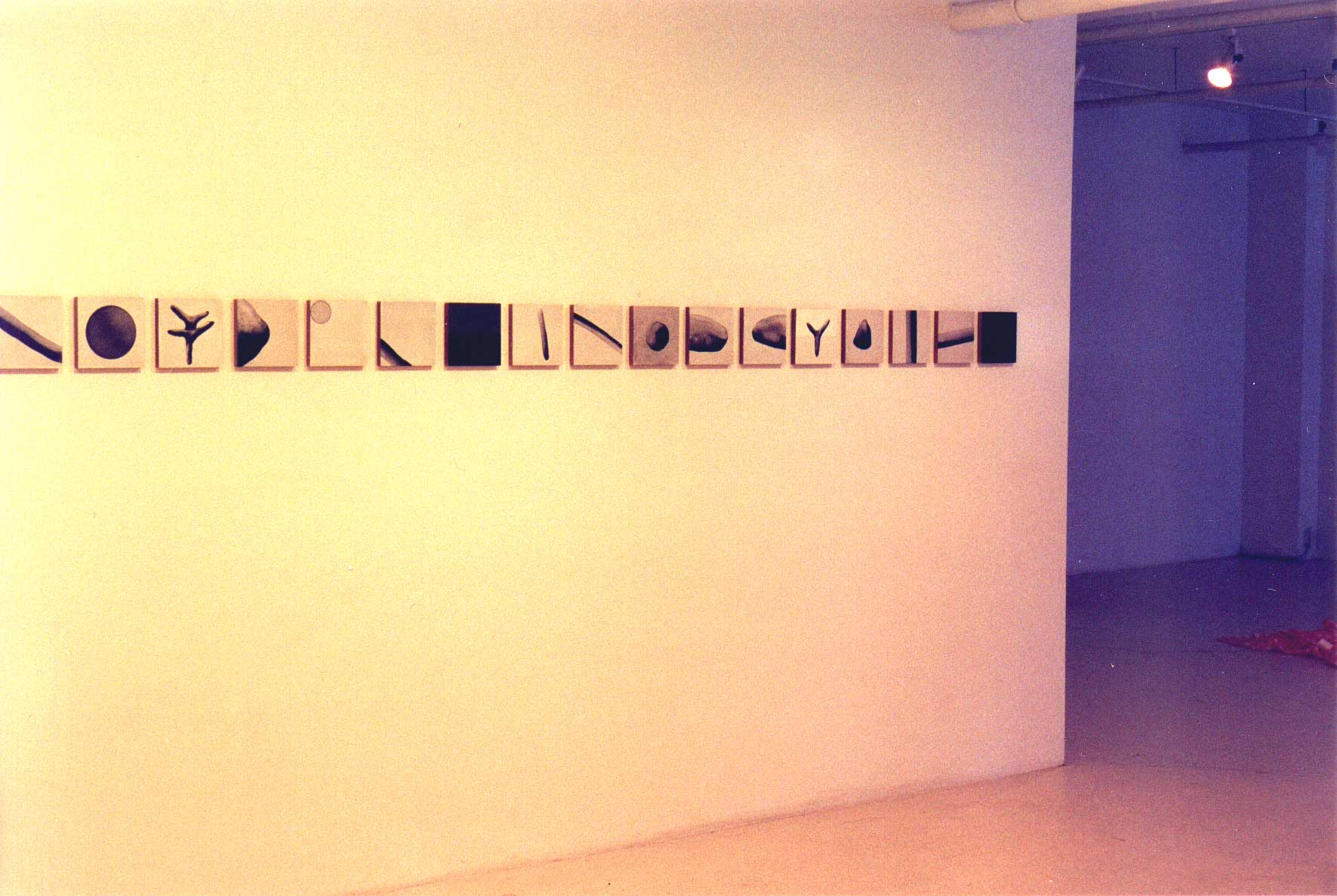 20 Pierre Clemens Galerie B312 Montreal 2000