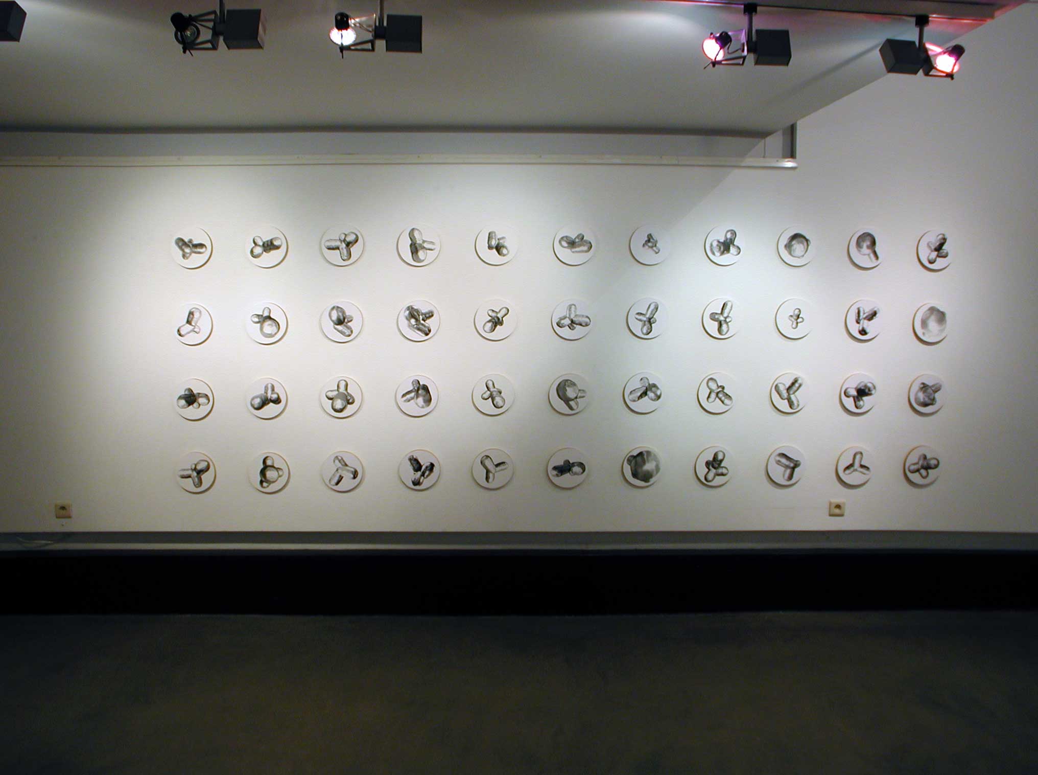 006 Pierre Clemens CCJF 2004 exhbition