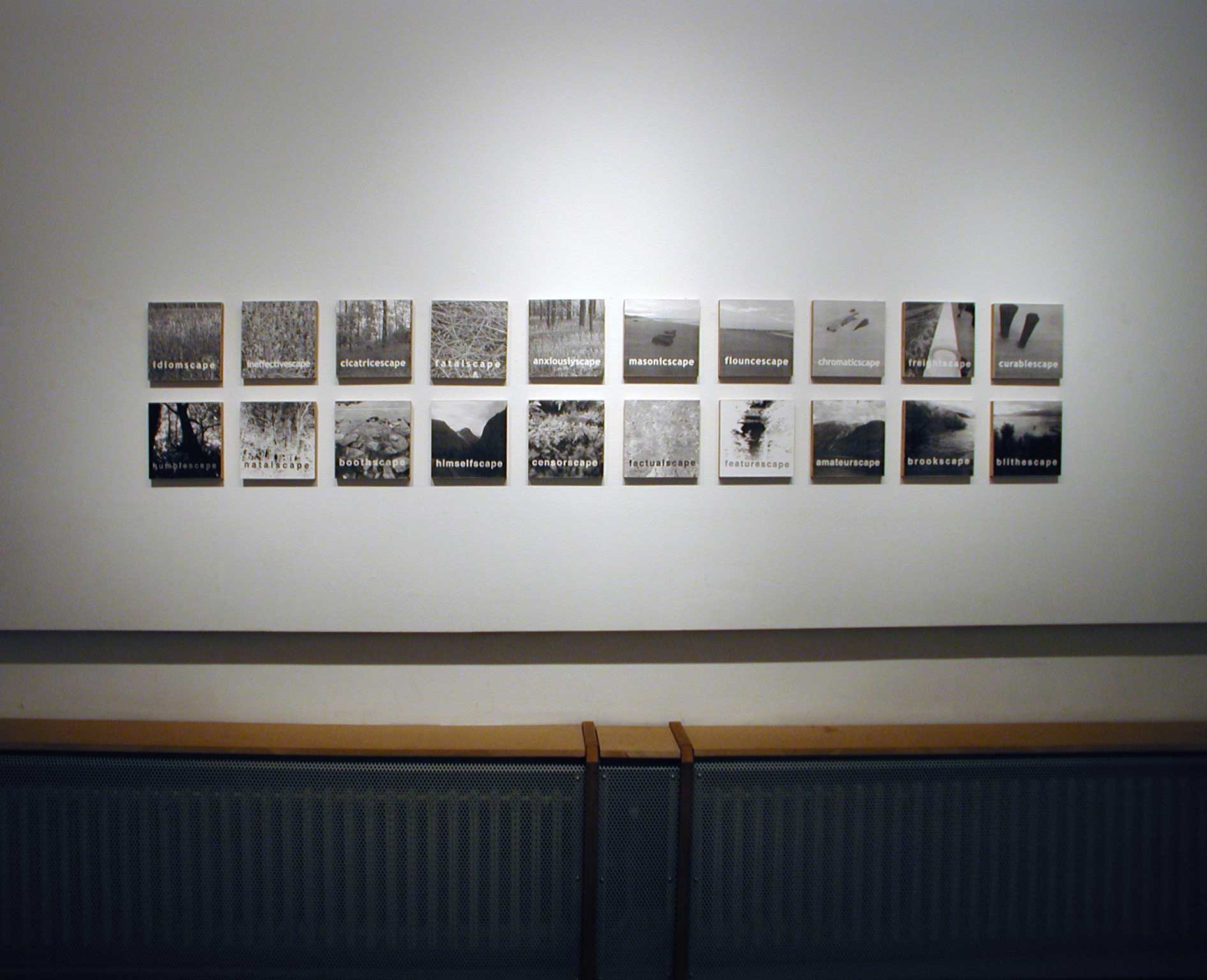 011 Pierre Clemens CCJF 2004 exhbition