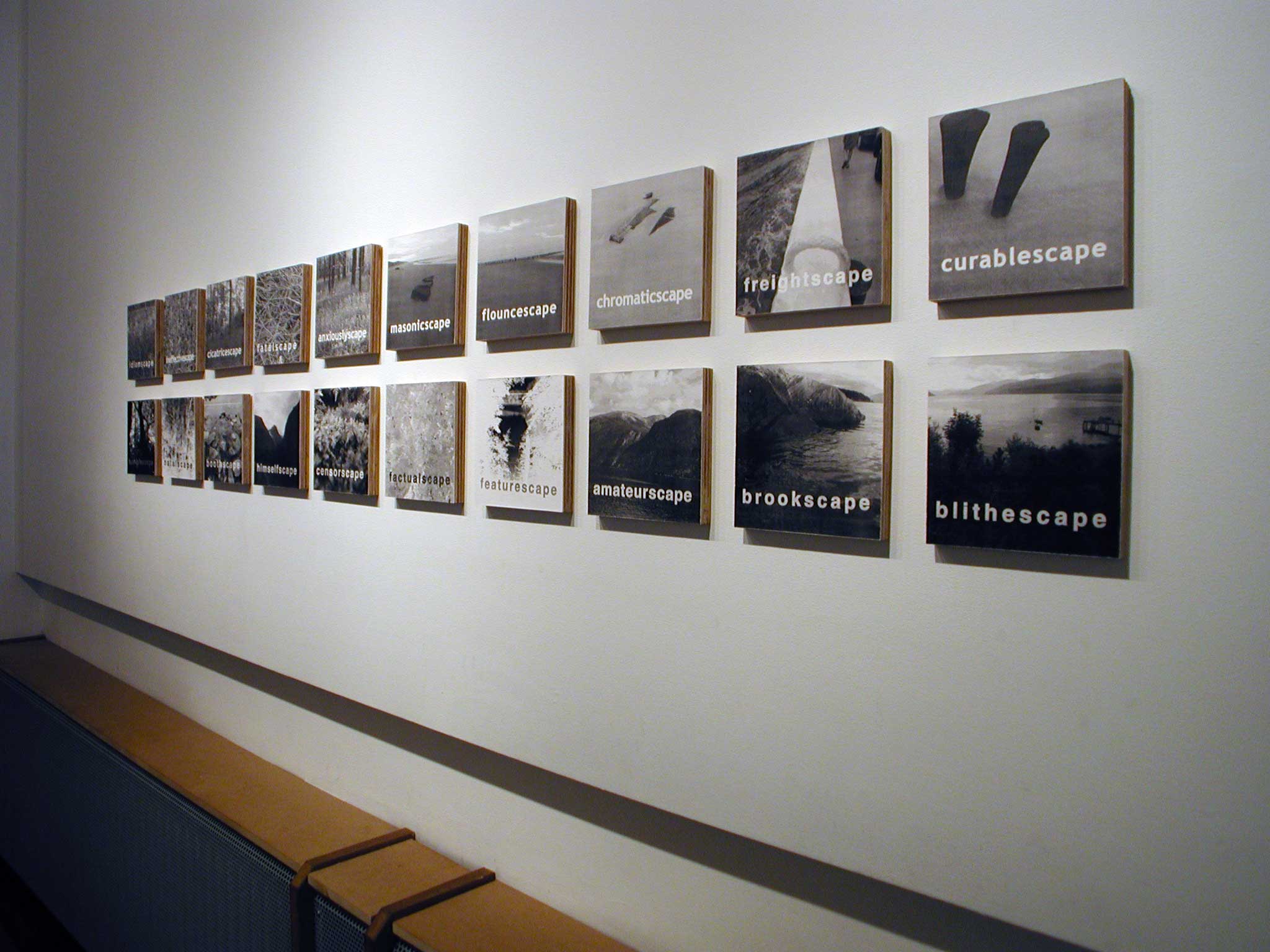 013 Pierre Clemens CCJF 2004 exhbition