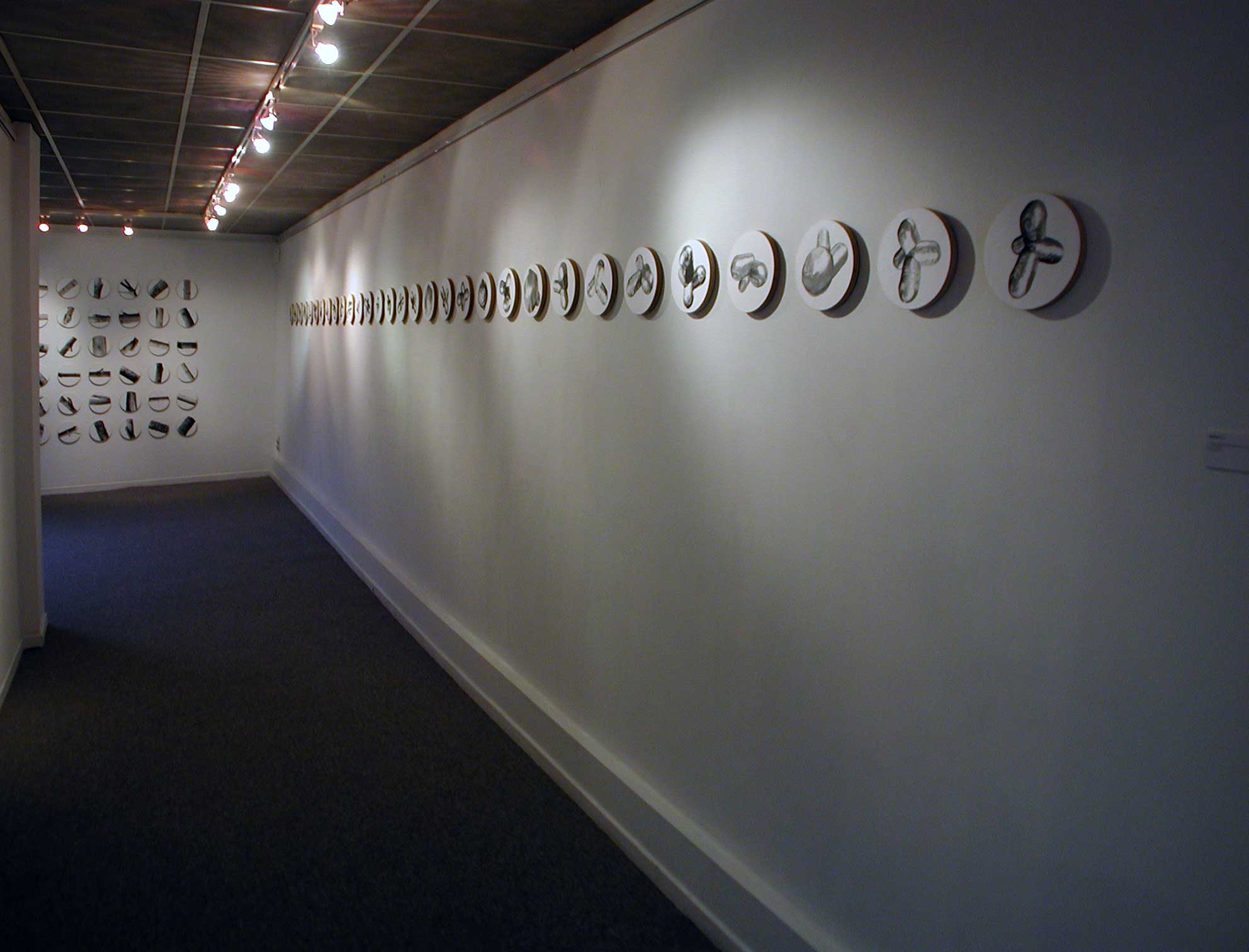 19 Pierre Clemens solo show 2004 Galerie Detour Namur