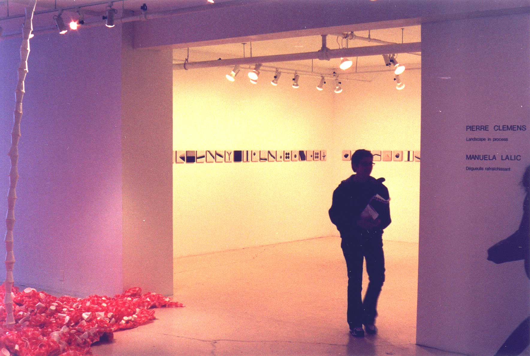 2000 - montreal mirror - duoshow galerie b312 - sholem krishtalka