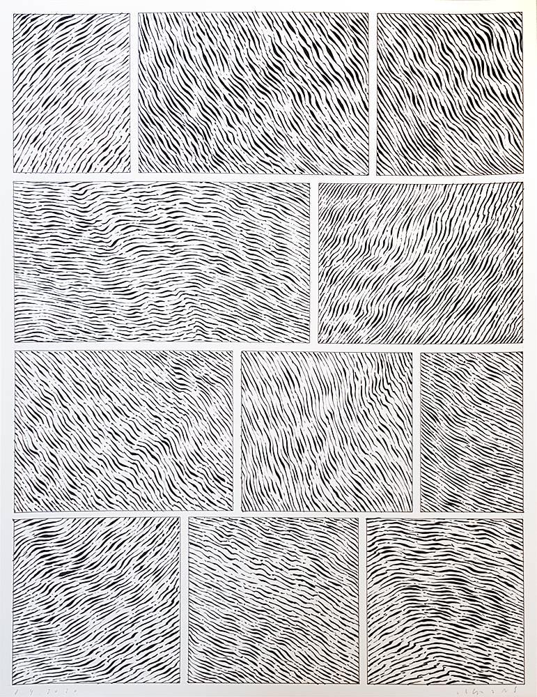 2020 04 08 Pierre Clemens 65x50cm Encre de Chine sur papier