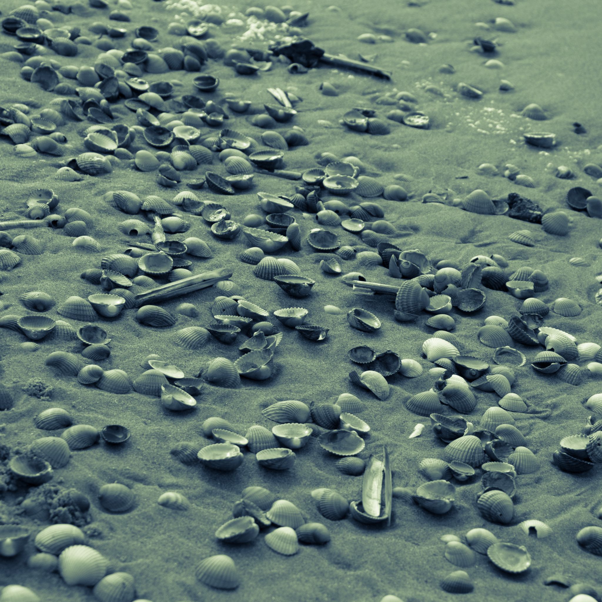 sound / tracks / 2015 / particles