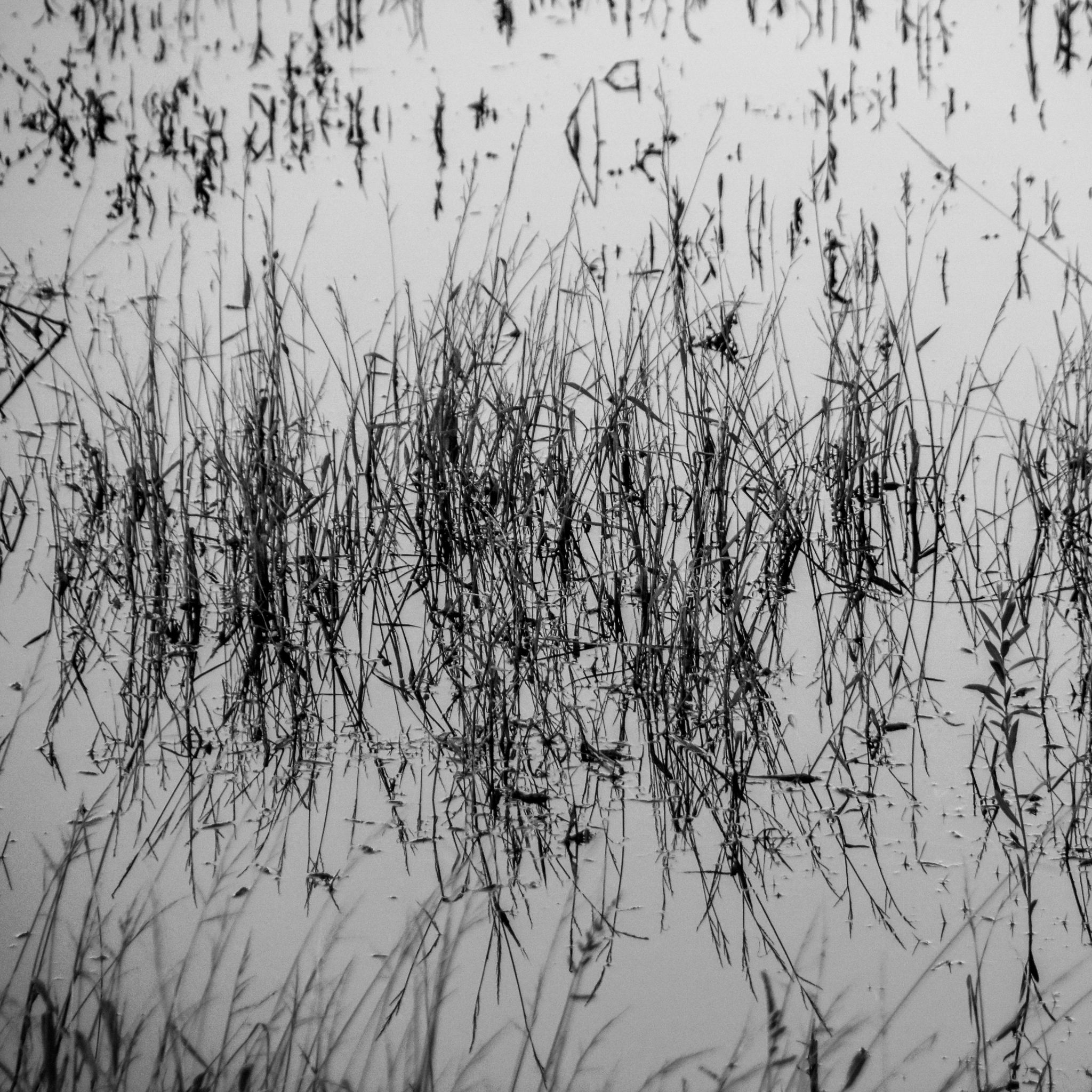 sound / tracks / 2018 / pulsante