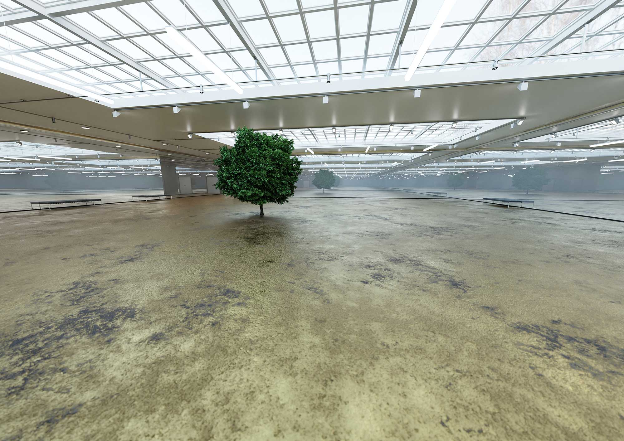 Pierre Clemens 2023 07 02 IParadise The infinite forest