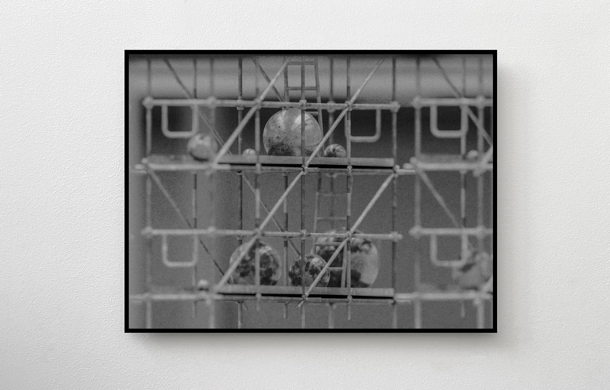 Pierre Clemens The collector 2025 09 08 210 28